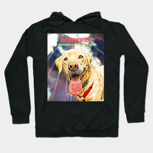 Introverted, but open to discussing dog biscuits Hoodie